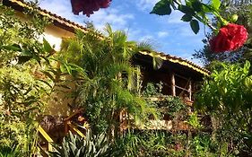 Jardim das orquídeas