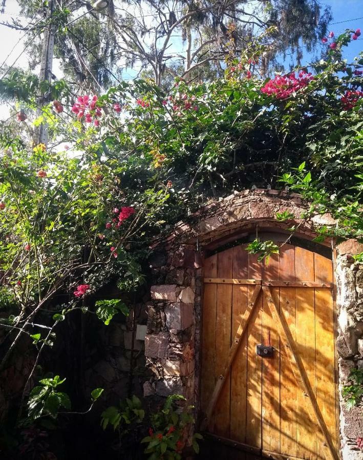 Jardim das orquídeas Mucugê Exterior foto