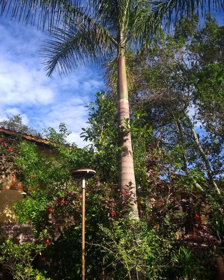 Jardim das orquídeas Mucugê Exterior foto